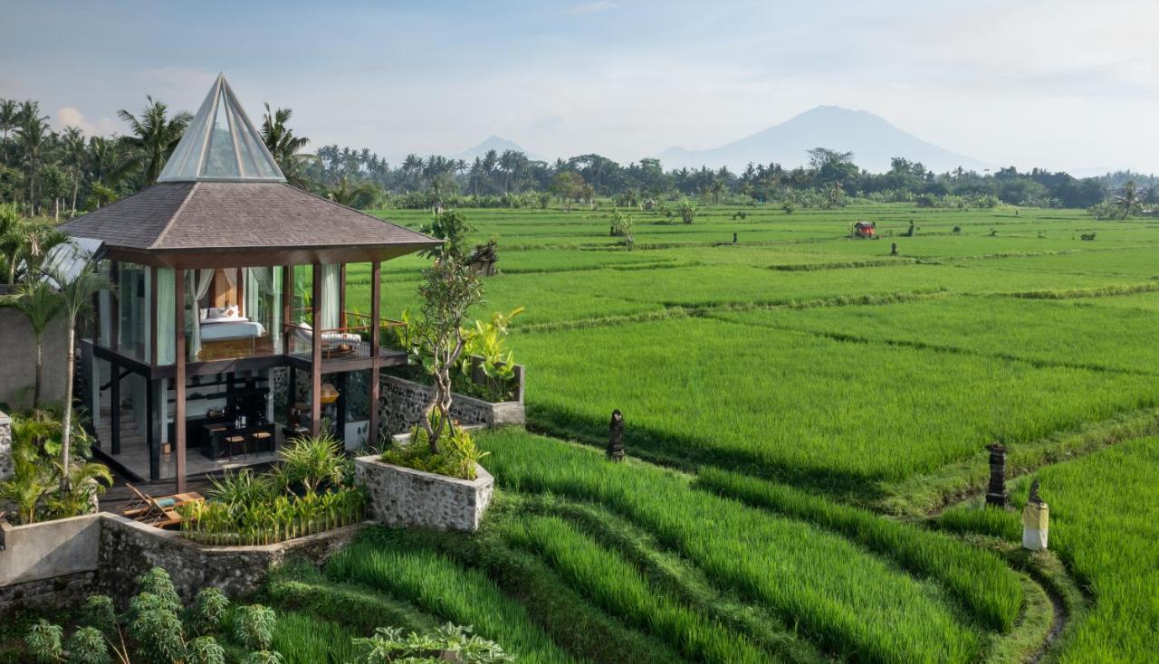 Gdas Bali Health And Wellness Resort - Adult Only Убуд Екстер'єр фото